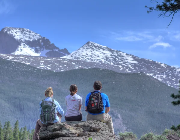 Employees starring at mountain range